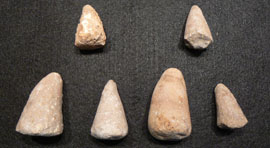 fossil