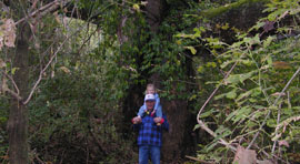 picture